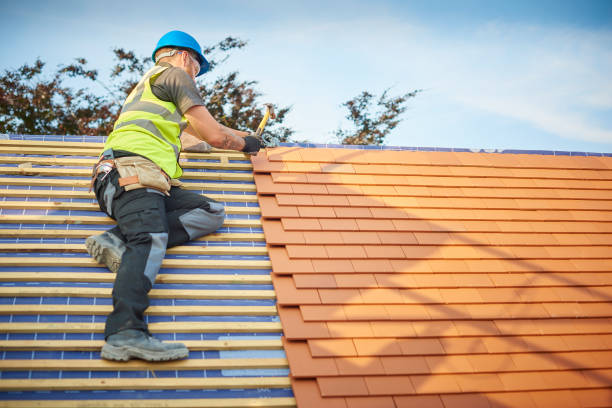 Best Roof Moss and Algae Removal  in Waukomis, OK